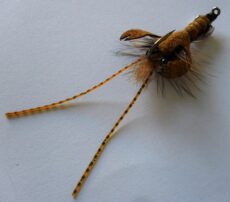 BWCflies Destructor Cray