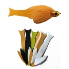 Flymen Fish Skull Frantic Tails