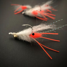 Clints' Tropical Shrimp