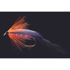 MTP Scotch Poacher