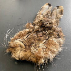 Wapsi Premium Hares Mask