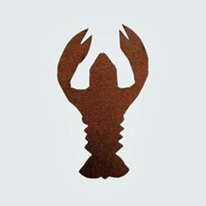 Flymen Fish Skull Crawbody in Brown colour