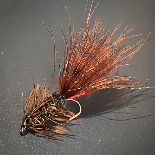 8 Cicada Fly Fishing Flies Olive & Brown