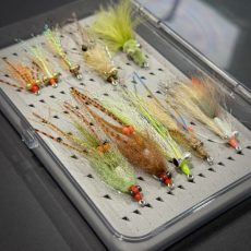 Saltwater Beginners Fly Pack in Flylab Fly Box main image is great for fly fishing