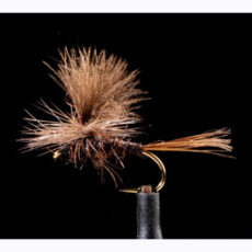 MTP Possum Dun Brown
