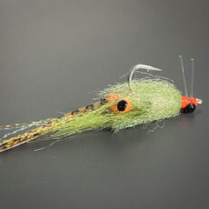 H2O Spawning Shrimp Olive