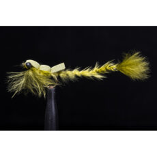 MTP Dodger Damsel