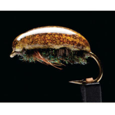 MTP True Flies Brown Beetle