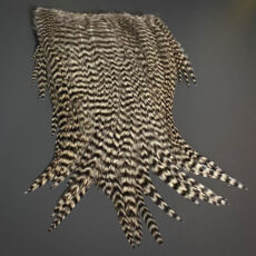 Ewing Hackles - Deceiver Patches