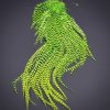 Ewing Hackle Wooly Bugger Patch Grizzly Chartreuse used for fly tying