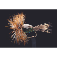 MTP Humpy Peacock