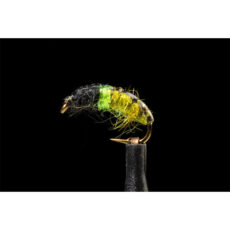 MTP Hot Spot Czech Nymph - Caddis Olive