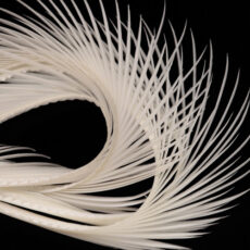 Wapsi Goose Biots - White