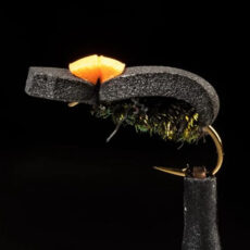 MTP Black Foam Beetle