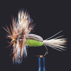 MTP Humpy Yellow