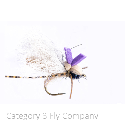 FLY LAB - BWCflies Australia