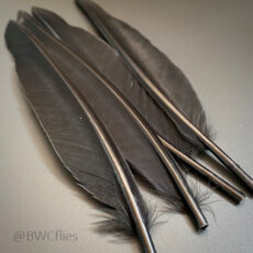 Wapsi Duck Quill 2 Pair per pack - Black