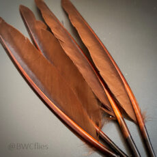 Wapsi Duck Quill 2 Pair per pack - Brown