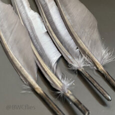 Wapsi Duck Quill 2 Pair per pack - Dyed Grey