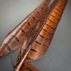 Pheasant