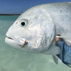 Hosted Fly-Fishing Trips