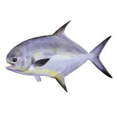 Permit