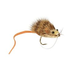 Whitlock's Mouse Rat
