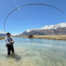 New Zealand Trip photo