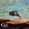 C Salt Vampire Purple Black for Bass Fishing