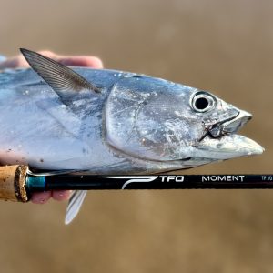 TFO MOMENT is a great fly fishing rod for pelagic