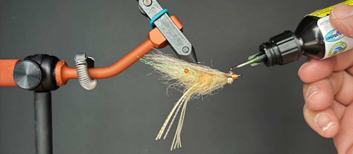 Raw Prawn Blog Image