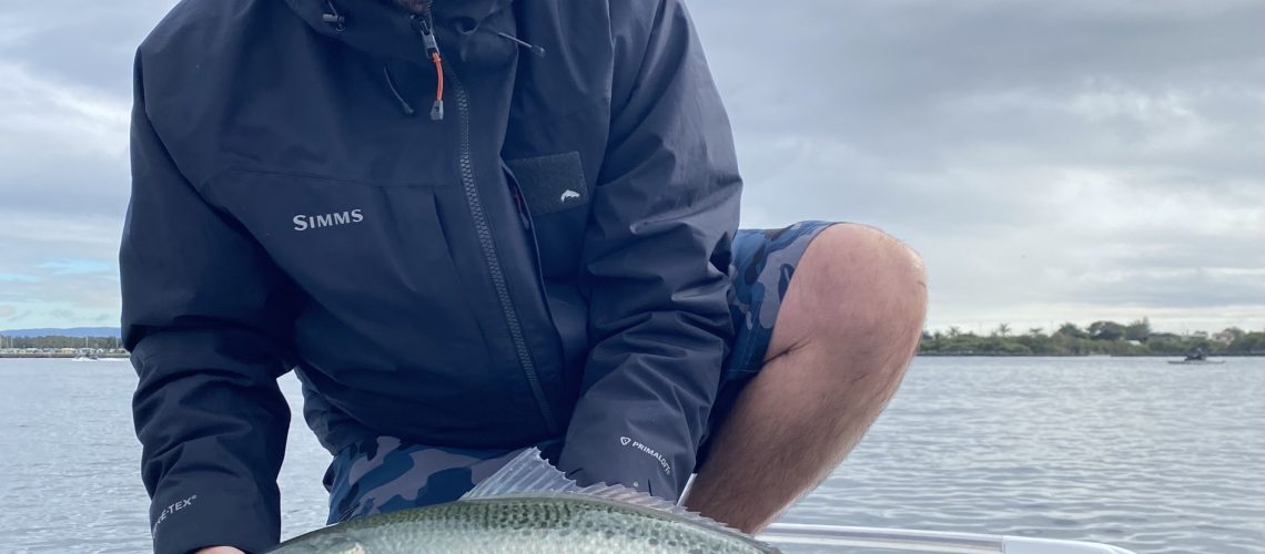 SALMON BLOG2
