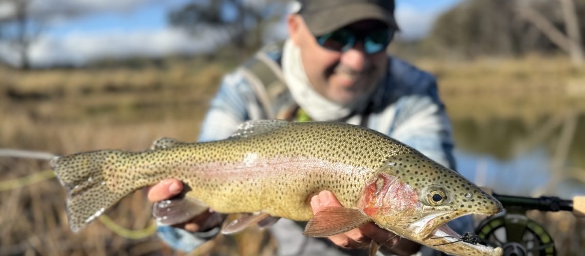 UNCLE BILLYS RAINBOW BC